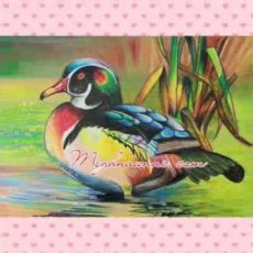 My Paintings Video | Meghna Paintings Video