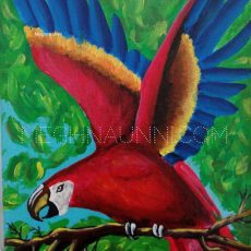Scarlet Macaw Painting for my friend Giridarshini