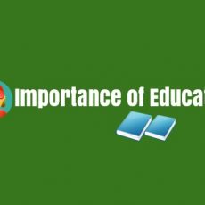 Importance of Education Essay Writing