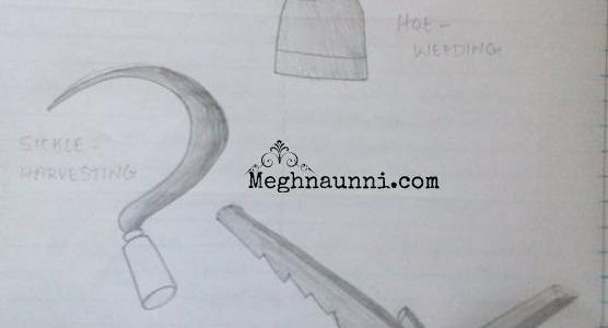 Agricultural Implements Pencil Diagram