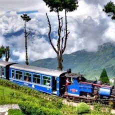 Visit to a Tourist Place Short Essay Writing for English | Darjeeling Visit