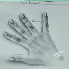 Hand | A Pencil Shading Work for School Art Book