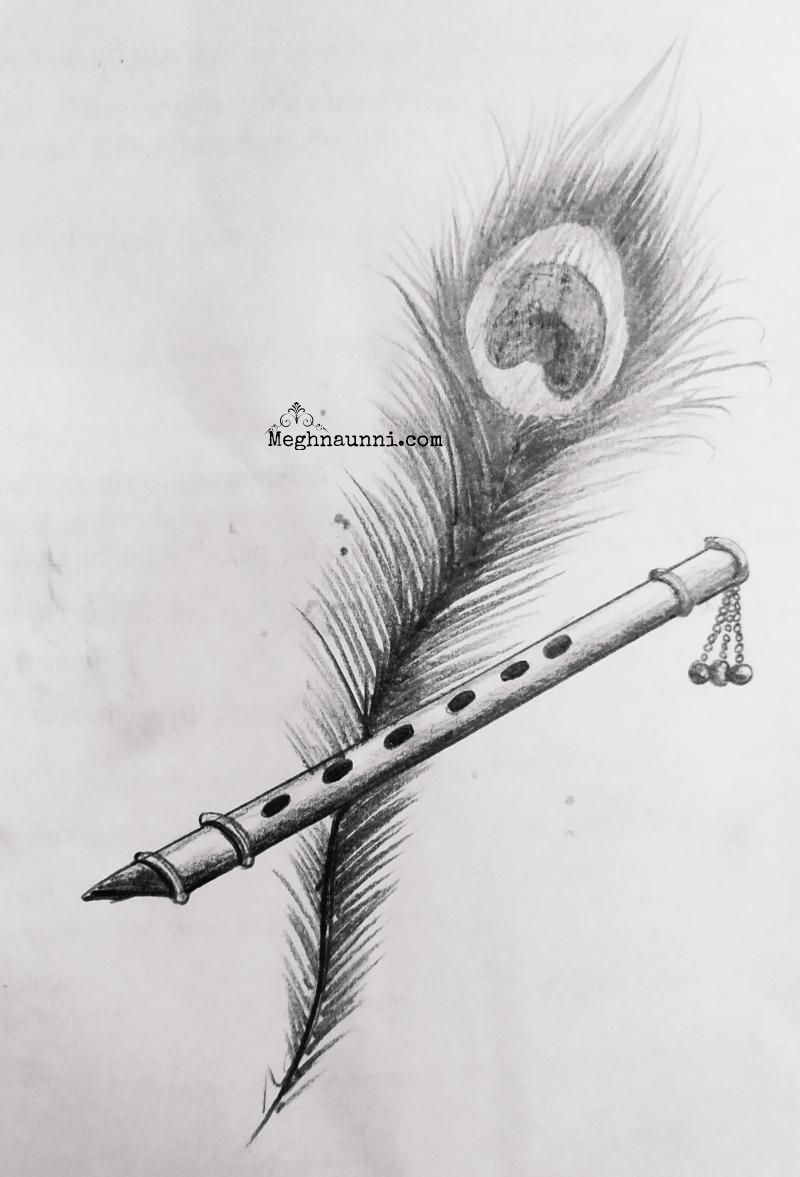  Peacock Feather Flute Pencil Drawing Meghnaunni.com