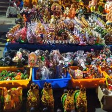 A Wondrous Display of Golu Dolls at Mylapore