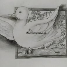 Peace Dove Pencil Drawing