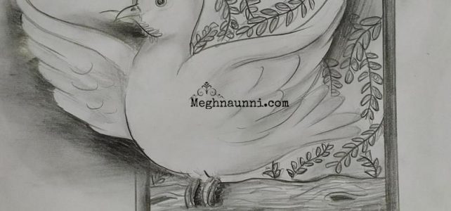 Peace Dove Pencil Drawing