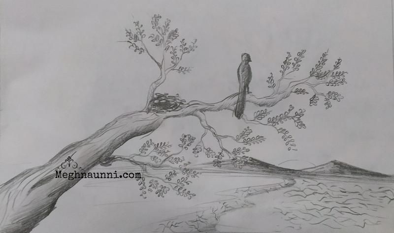 Easy Pencil Nature Scenery Drawing