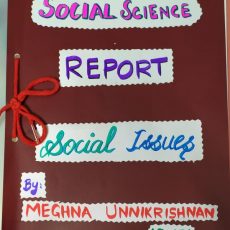 Social Issues Report for CBSE Std 10 | Gender Inequality