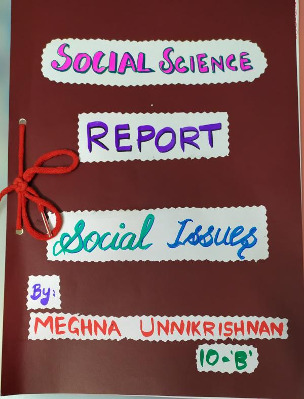 social issues project class 10 case study