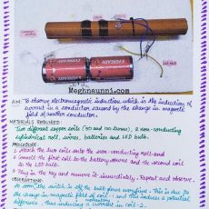 Working Model of Electromagnetic Induction Class X Physics Project