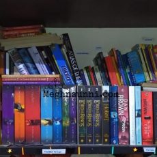 HOW TO ARRANGE YOUR BOOKS INTO A LIBRARY?