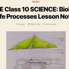My New Blog for School Notes