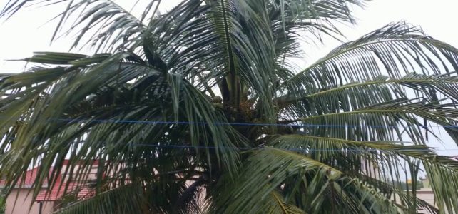 Bracing Up for Cyclone Nivar | Heavy Rains in Chennai