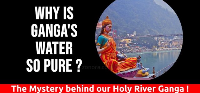 Why is River Ganga’s Water so Pure ? | The Mystery behind our Holy River!