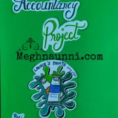 Accountancy CBSE Class 11 Final Project Sample