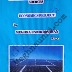 CBSE Class 11 Economics Project | Solar Energy : A Cost Effective Comparison with Conventional Sources