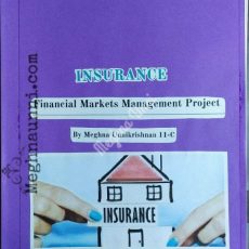 Financial Markets Management (FMM) CBSE Class 11 Project on Insurance