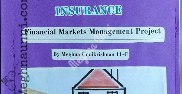 Financial Markets Management (FMM) CBSE Class 11 Project on Insurance