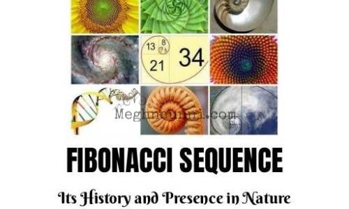 CBSE Class 11 Applied Mathematics Project : FIBONACCI SEQUENCE : History & Presence in Nature