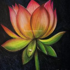 Lotus Painting in Soft Pastels