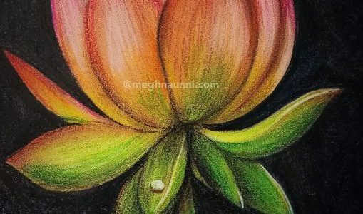 Lotus Painting in Soft Pastels