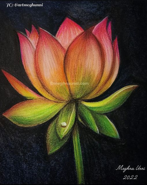 Hyperreal Oil Pastel Drawings of Flowers Drenched in Honey