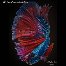 Siamese Fighting Fish Prismacolors Pencil Color Painting