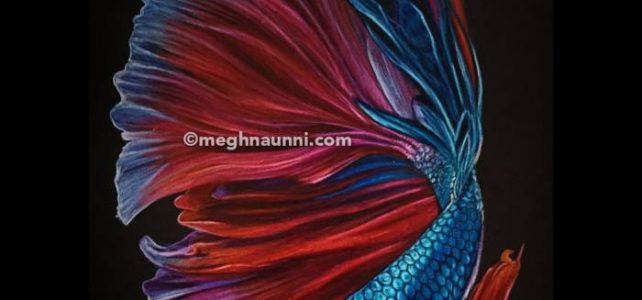 Siamese Fighting Fish Prismacolors Pencil Color Painting