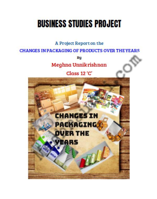 business environment project class 12