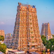 Travel Diaries | Temples | Madurai Sri Meenakshi – Sundareswarar Temple | A Must Visit Architectural Wonder