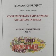 CBSE Class 12 Economics Project | Contemporary Employment Situation in India