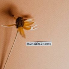 The Power of Mindfulness: Effective Techniques for Stress Reduction and Well-being