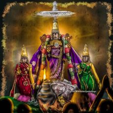 Kanchi Varadar Vaigasi Brahmotsavam Day 10| Vettiver Chapparam and Dwaja Avarohanam Digital Painting