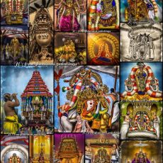 Vaigaasi Brahmotsavam of Kanchipuram Shri Varadharaja Perumal